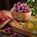 غنچه گل محمدی