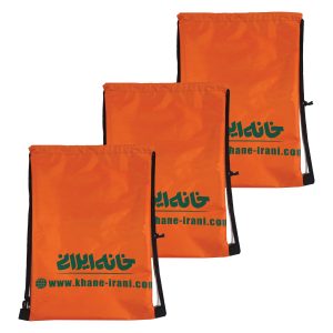 شوزبگ ورزشی